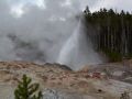 Steamboat Geyser erupting.jpg